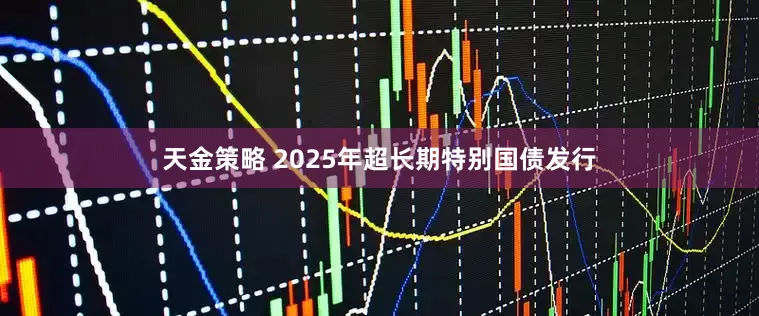 天金策略 2025年超长期特别国债发行
