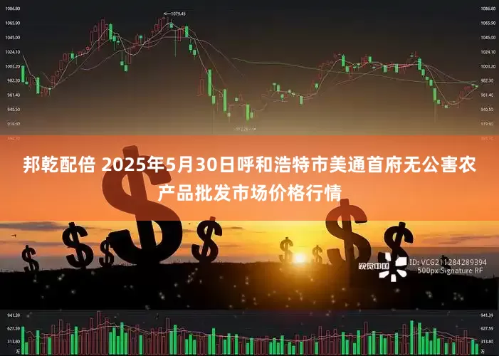 邦乾配倍 2025年5月30日呼和浩特市美通首府无公害农产品批发市场价格行情